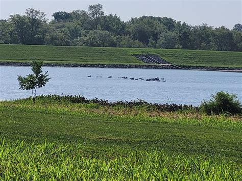 cleveland lake belton mo|belton lake mo.